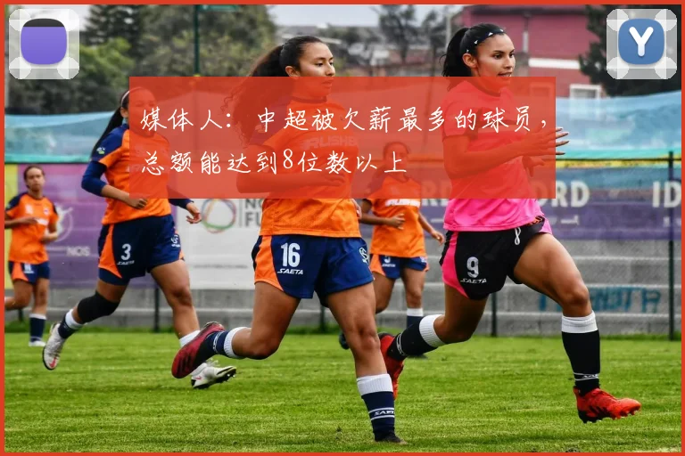 媒体人：中超被欠薪最多的球员，总额能达到8位数以上